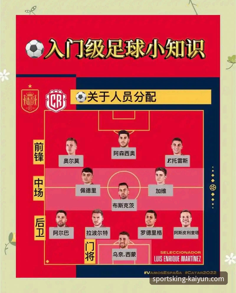 意大利连续三届无缘世界杯赛事解析与使用指南